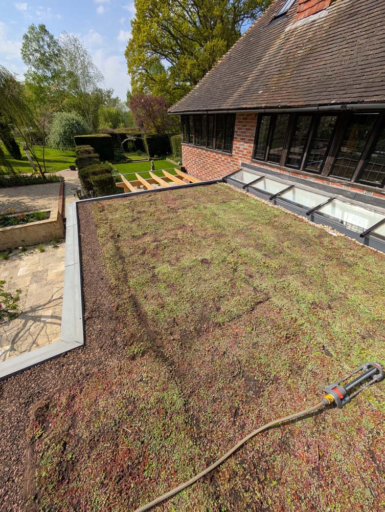 Green & Sedum Roofs