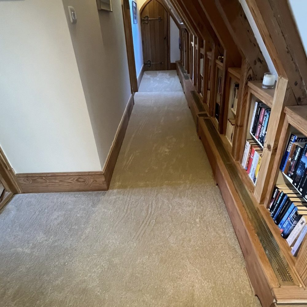 Hallway carpet with book shelves