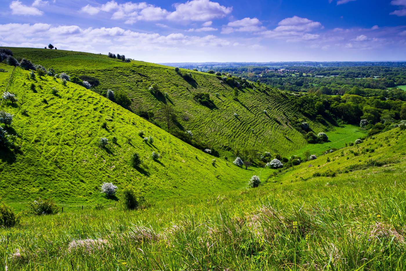 A bright sunny spring down on the Kent downs near wye looking do