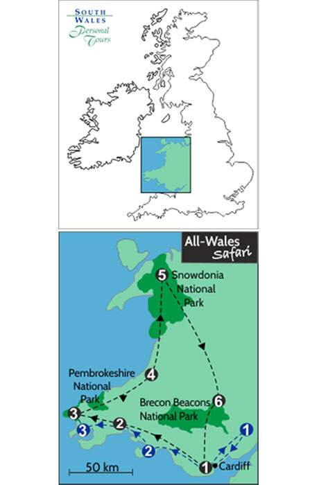 All Wales Safari