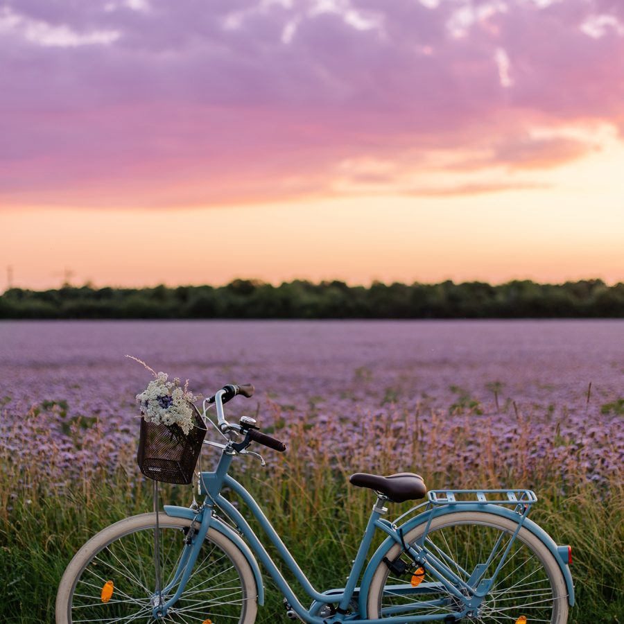 Bike Store